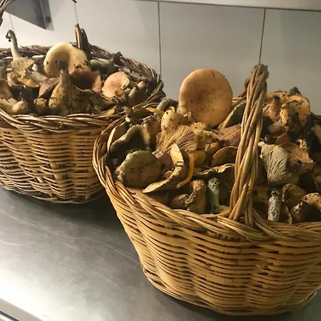 Сasa de vacaciones Cal Met Sant Boi de Llucanes